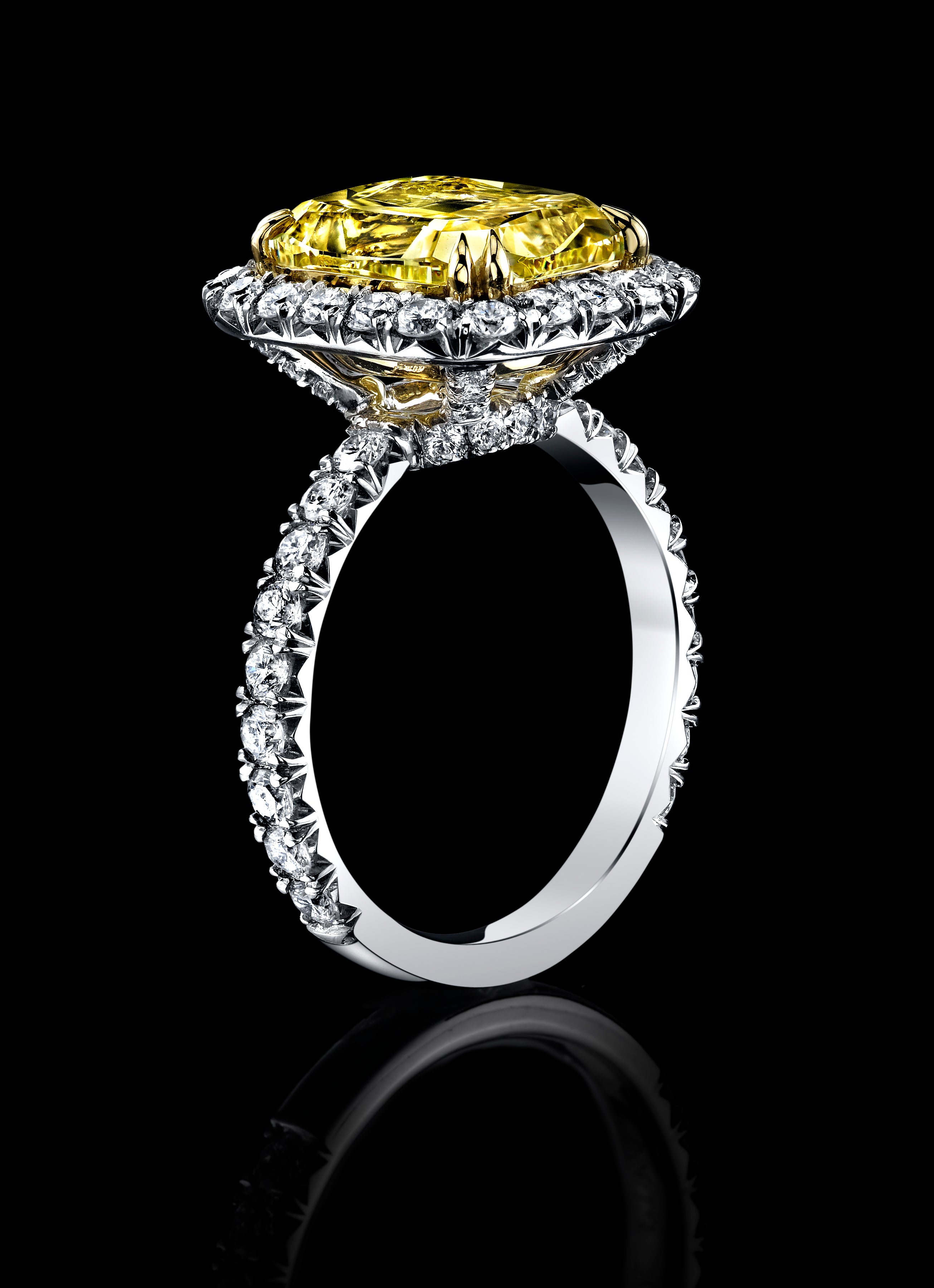 Monaco Elite Wedding Ring Collection.